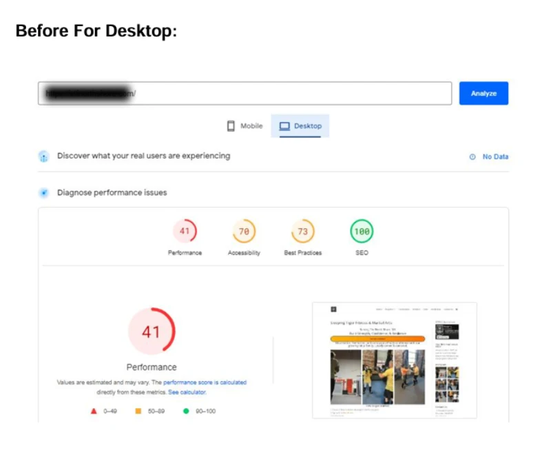 page speed insights performance 41 for desktop before optimization
