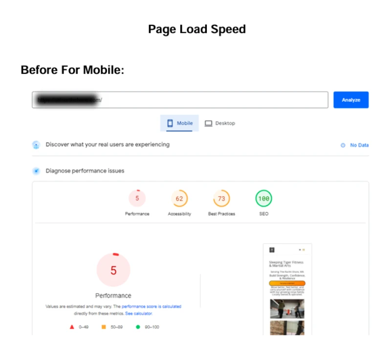 page speed insights performance 5 for mobile before optimization