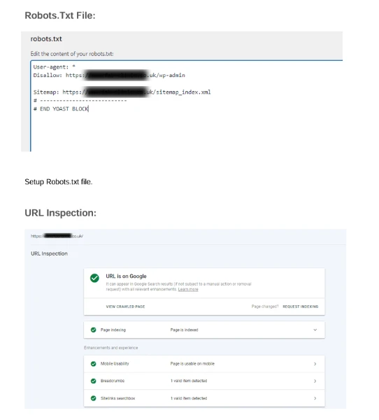 perfectly set robotstxt file and urls to google