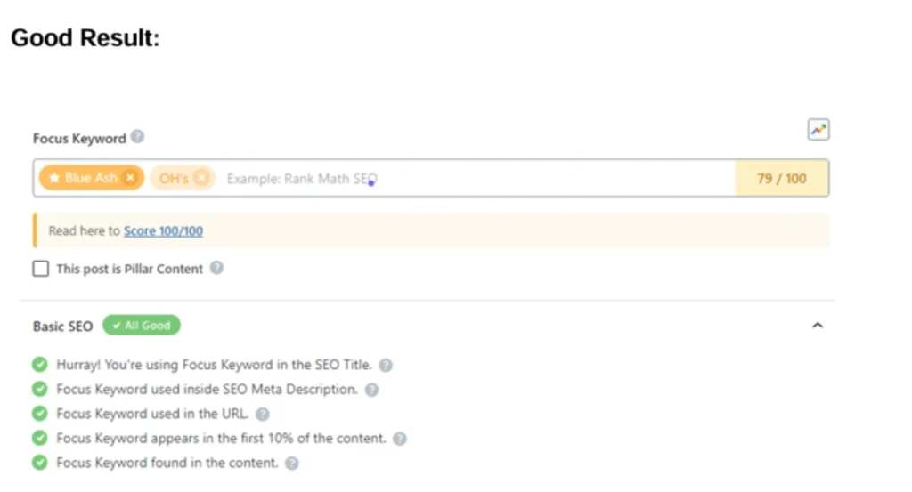 shows seo keyword optimization of website 1st page